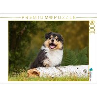 CALVENDO Puzzle Kleiner Weltentdecker - ein Colliewelpe 1000 Teile Lege-Größe 64x48cm Foto-Puzzle für glückliche Stunden von Calvendo Puzzle