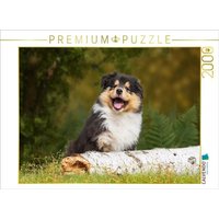 CALVENDO Puzzle Kleiner Weltentdecker - ein Colliewelpe 2000 Teile Lege-Größe 90x67cm Foto-Puzzle für glückliche Stunden CALVENDO Puzzle Kleiner Weltentdecker - ein Colliewelpe 2000 Teile Lege-Größe 90x67cm Foto-Puzzle für glückliche Stunden von Calvendo Puzzle