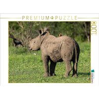 CALVENDO Puzzle Kleines Breitmaulnashorn mit Madenhacker in Südafrika 1000 Teile Lege-Größe 64x48cm Foto-Puzzle für glückliche Stunden CALVENDO Puzzle Kleines Breitmaulnashorn mit Madenhacker in Südafrika 1000 Teile Lege-Größe 64x48cm Foto-Puzzle für glückliche Stunden von Calvendo Puzzle