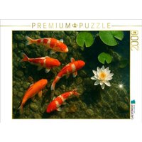 CALVENDO Puzzle Koi-Karpfen im Teich - Ausdauer, Harmonie und Überfluss 2000 Teile Lege-Größe 90x67cm Foto-Puzzle für glückliche Stunden von Calvendo Puzzle