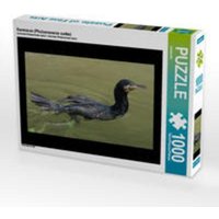 CALVENDO Puzzle Kormoran (Phalacrocorax carbo) 1000 Teile Lege-Größe 64 x 48 cm Foto-Puzzle Bild von kattobello von Calvendo