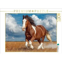 CALVENDO Puzzle Kraftvolles Clydesdale-Pferd in Bewegung 1000 Teile Lege-Größe 64x48cm Foto-Puzzle für glückliche Stunden von Calvendo Puzzle