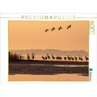 CALVENDO Puzzle Kraniche am Schlafplatz als Silhouette 2000 Teile Lege-Größe 90 × 67 cm Foto-Puzzle für glückliche Stunden CALVENDO Puzzle Kraniche am Schlafplatz als Silhouette 2000 Teile Lege-Größe 90 × 67 cm Foto-Puzzle für glückliche Stunden von Calvendo Puzzle