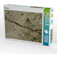 CALVENDO Puzzle Kreuzotter 1000 Teile Lege-Größe 64 x 48 cm Foto-Puzzle Bild von Kattobello von Calvendo Puzzle