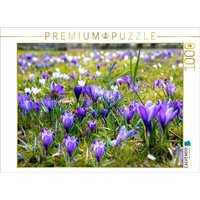 CALVENDO Puzzle Krokusse im Park 1000 Teile Lege-Größe 64x48cm Foto-Puzzle für glückliche Stunden von CALVENDO Verlag GmbH