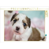 CALVENDO Puzzle Kuckuck 1000 Teile Lege-Größe 64x48cm Foto-Puzzle für glückliche Stunden CALVENDO Puzzle Kuckuck 1000 Teile Lege-Größe 64x48cm Foto-Puzzle für glückliche Stunden von CALVENDO Verlag GmbH