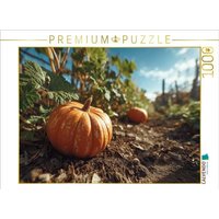CALVENDO Puzzle Kürbis im Gartenbeet bei Sonnenschein 1000 Teile Lege-Größe 64x48cm Foto-Puzzle für glückliche Stunden von Calvendo Puzzle