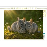 CALVENDO Puzzle Kuschelstunde - drei Chinchillas 1000 Teile Lege-Größe 64x48cm Foto-Puzzle für glückliche Stunden von Calvendo Puzzle