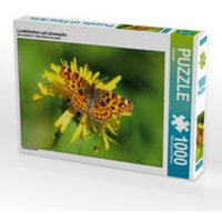 CALVENDO Puzzle Landkärtchen auf Löwenzahn 1000 Teile Lege-Größe 64 x 48 cm Foto-Puzzle Bild von Kattobello CALVENDO Puzzle Landkärtchen auf Löwenzahn 1000 Teile Lege-Größe 64 x 48 cm Foto-Puzzle Bild von Kattobello von Calvendo Puzzle