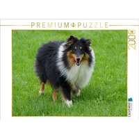 CALVENDO Puzzle Langhaar Collie auf der Wiese 2000 Teile Lege-Größe 90 × 67 cm Foto-Puzzle für glückliche Stunden CALVENDO Puzzle Langhaar Collie auf der Wiese 2000 Teile Lege-Größe 90 × 67 cm Foto-Puzzle für glückliche Stunden von Calvendo Puzzle