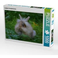 CALVENDO Puzzle Langhaar Zwergkaninchen 1000 Teile Lege-Größe 64 x 48 cm Foto-Puzzle Bild von kattobello CALVENDO Puzzle Langhaar Zwergkaninchen 1000 Teile Lege-Größe 64 x 48 cm Foto-Puzzle Bild von kattobello von Calvendo Puzzle