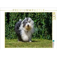 CALVENDO Puzzle Laufender Bobtail 1000 Teile Lege-Größe 64x48cm Foto-Puzzle für glückliche Stunden von CALVENDO Verlag GmbH