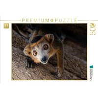 CALVENDO Puzzle Lemur 500 Teile Lege-Größe 48 × 36 cm Foto-Puzzle für Erwachsene CALVENDO Puzzle Lemur 500 Teile Lege-Größe 48 × 36 cm Foto-Puzzle für Erwachsene von Calvendo Puzzle