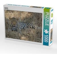 CALVENDO Puzzle Leopard 1000 Teile Lege-Größe 64 x 48 cm Foto-Puzzle Bild von Johann Schörkhuber von xxx
