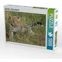 CALVENDO Puzzle Leoparden - Kleiner unterwegs 1000 Teile Lege-Größe 64 x 48 cm Foto-Puzzle Bild von Michael Herzog CALVENDO Puzzle Leoparden - Kleiner unterwegs 1000 Teile Lege-Größe 64 x 48 cm Foto-Puzzle Bild von Michael Herzog von Calvendo Puzzle