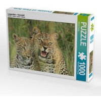 CALVENDO Puzzle Leoparden - Vorsicht! 1000 Teile Lege-Größe 64 x 48 cm Foto-Puzzle Bild von Michael Herzog von xxx