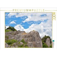 CALVENDO Puzzle Löwenkinder 2000 Teile Lege-Größe 90x67cm Foto-Puzzle für glückliche Stunden von Calvendo Puzzle