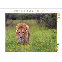 CALVENDO Puzzle Löwenmann während der Regenzeit 1000 Teile Lege-Größe 64x48cm Foto-Puzzle für glückliche Stunden von Calvendo Puzzle