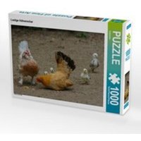 CALVENDO Puzzle Lustige Hühnerschar 1000 Teile Lege-Größe 64 x 48 cm Foto-Puzzle Bild von Kattobello von Calvendo Puzzle