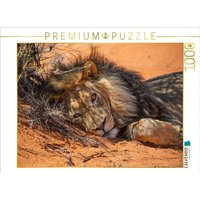 CALVENDO Puzzle Mächtiger Löwenmann ruht im roten Sand der Kalahari 1000 Teile Lege-Größe 64x48cm Foto-Puzzle für glückliche Stunden von Calvendo Puzzle
