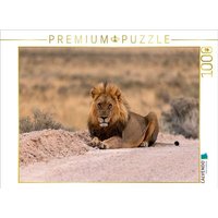 CALVENDO Puzzle Majestätische Löwe 1000 Teile Lege-Größe 64x48cm Foto-Puzzle für glückliche Stunden von Calvendo Puzzle