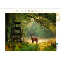 CALVENDO Puzzle Majestätischer Hirsch im Morgenlicht am Waldrand 1000 Teile Lege-Größe 64x48cm Foto-Puzzle für glückliche Stunden von Calvendo Puzzle