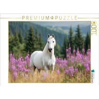 CALVENDO Puzzle Majestätischer Lipizzaner auf Blumenwiese 1000 Teile Lege-Größe 64x48cm Foto-Puzzle für glückliche Stunden von Calvendo Puzzle