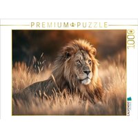 CALVENDO Puzzle Majestätischer Löwe in der Savanne 1000 Teile Lege-Größe 64x48cm Foto-Puzzle für glückliche Stunden von Calvendo Puzzle