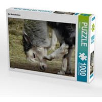 CALVENDO Puzzle Mal Nachdenken 1000 Teile Lege-Größe 64 x 48 cm Foto-Puzzle Bild von Kattobello CALVENDO Puzzle Mal Nachdenken 1000 Teile Lege-Größe 64 x 48 cm Foto-Puzzle Bild von Kattobello von Calvendo Puzzle