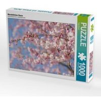CALVENDO Puzzle Mandelblüten Baum 1000 Teile Lege-Größe 64 x 48 cm Foto-Puzzle Bild von Tanja Riedel CALVENDO Puzzle Mandelblüten Baum 1000 Teile Lege-Größe 64 x 48 cm Foto-Puzzle Bild von Tanja Riedel von Calvendo Puzzle