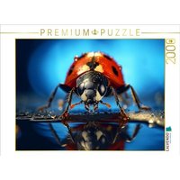 CALVENDO Puzzle Marienkäfer 2000 Teile Lege-Größe 90x67cm Foto-Puzzle für glückliche Stunden von Calvendo Puzzle