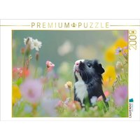 CALVENDO Puzzle Meerschweinchen: Flausch mit Charakter 2000 Teile Lege-Größe 90x67cm Foto-Puzzle für glückliche Stunden von Calvendo Puzzle