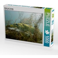 CALVENDO Puzzle Meister der Tarnung 1000 Teile Lege-Größe 64x48cm Foto-Puzzle für glückliche Stunden von Calvendo Puzzle