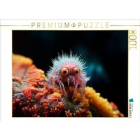 CALVENDO Puzzle Montag vor dem Kaffee - Lustige Mikroorganismen 1000 Teile Lege-Größe 64x48cm Foto-Puzzle für glückliche Stunden von Calvendo Puzzle