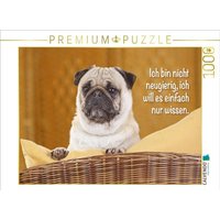 CALVENDO Puzzle Mops schaut aufmerksam 1000 Teile Lege-Größe 64x48cm Foto-Puzzle für glückliche Stunden CALVENDO Puzzle Mops schaut aufmerksam 1000 Teile Lege-Größe 64x48cm Foto-Puzzle für glückliche Stunden von Calvendo Puzzle