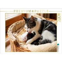 CALVENDO Puzzle Morgenwäsche - Katzenmutter und Kätzchen 2000 Teile Lege-Größe 90x67cm Foto-Puzzle für glückliche Stunden CALVENDO Puzzle Morgenwäsche - Katzenmutter und Kätzchen 2000 Teile Lege-Größe 90x67cm Foto-Puzzle für glückliche Stunden von Calvendo Puzzle