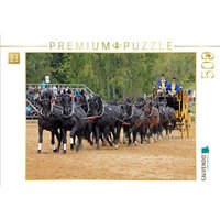 CALVENDO Puzzle Moritzburger Hengstparade: 16 Hengste vor der Postkutsche! 500 Teile Lege-Größe 48 × 36 cm Foto-Puzzle für Erwachsene CALVENDO Puzzle Moritzburger Hengstparade: 16 Hengste vor der Postkutsche! 500 Teile Lege-Größe 48 × 36 cm Foto-Puzzle für Erwachsene von Calvendo Puzzle