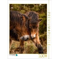 CALVENDO Puzzle Mutter und Sohn 1000 Teile Lege-Größe 64x48cm Foto-Puzzle für glückliche Stunden CALVENDO Puzzle Mutter und Sohn 1000 Teile Lege-Größe 64x48cm Foto-Puzzle für glückliche Stunden von Calvendo Puzzle