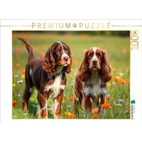 CALVENDO Puzzle Niedliche American Cocker Spaniel 1000 Teile Lege-Größe 64x48cm Foto-Puzzle für glückliche Stunden CALVENDO Puzzle Niedliche American Cocker Spaniel 1000 Teile Lege-Größe 64x48cm Foto-Puzzle für glückliche Stunden von Calvendo Puzzle