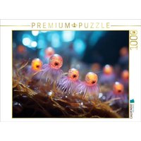 CALVENDO Puzzle Oktopus Tanz - lustige Mikroorganismen 1000 Teile Lege-Größe 64x48cm Foto-Puzzle für glückliche Stunden CALVENDO Puzzle Oktopus Tanz - lustige Mikroorganismen 1000 Teile Lege-Größe 64x48cm Foto-Puzzle für glückliche Stunden von Calvendo Puzzle