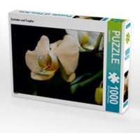 CALVENDO Puzzle Orchidee und Tropfen 1000 Teile Lege-Größe 64 x 48 cm Foto-Puzzle Bild von Heike Hultsch CALVENDO Puzzle Orchidee und Tropfen 1000 Teile Lege-Größe 64 x 48 cm Foto-Puzzle Bild von Heike Hultsch von Calvendo Puzzle