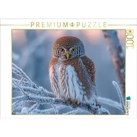 CALVENDO Puzzle Perlkauz - kleine Eule im eisigen Winter 1000 Teile Lege-Größe 64x48cm Foto-Puzzle für glückliche Stunden von Calvendo Puzzle
