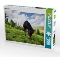 CALVENDO Puzzle Pferdeglück 1000 Teile Lege-Größe 64 x 48 cm Foto-Puzzle Bild von Bianca Mentil von Calvendo Puzzle