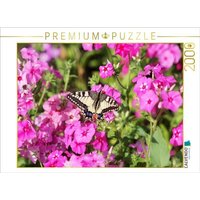 CALVENDO Puzzle Phlox 2000 Teile Lege-Größe 90x67cm Foto-Puzzle für glückliche Stunden von CALVENDO Verlag GmbH