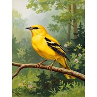CALVENDO Puzzle Pirol - seltener Vogel als Gemälde 1000 Teile Lege-Größe 64x48cm Foto-Puzzle für glückliche Stunden von Calvendo Puzzle