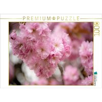 CALVENDO Puzzle PonPons 1000 Teile Lege-Größe 64x48cm Foto-Puzzle für glückliche Stunden CALVENDO Puzzle PonPons 1000 Teile Lege-Größe 64x48cm Foto-Puzzle für glückliche Stunden von CALVENDO Verlag GmbH