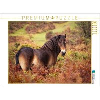 CALVENDO Puzzle Pony im Farbenrausch 1000 Teile Lege-Größe 64x48cm Foto-Puzzle für glückliche Stunden von Calvendo Puzzle