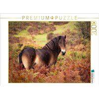 CALVENDO Puzzle Pony im Farbenrausch 2000 Teile Lege-Größe 90x67cm Foto-Puzzle für glückliche Stunden von Calvendo Puzzle