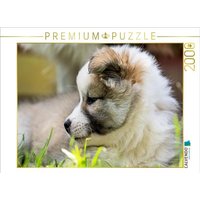 CALVENDO Puzzle Portrait einer kleinen Schönheit 2000 Teile Lege-Größe 90x67cm Foto-Puzzle für glückliche Stunden von Calvendo Puzzle
