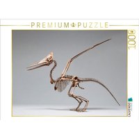 CALVENDO Puzzle Pteranodon-Skelett mit Flügelspannweite und Kammprofil 1000 Teile Lege-Größe 64x48cm Foto-Puzzle für glückliche Stunden von Calvendo Puzzle